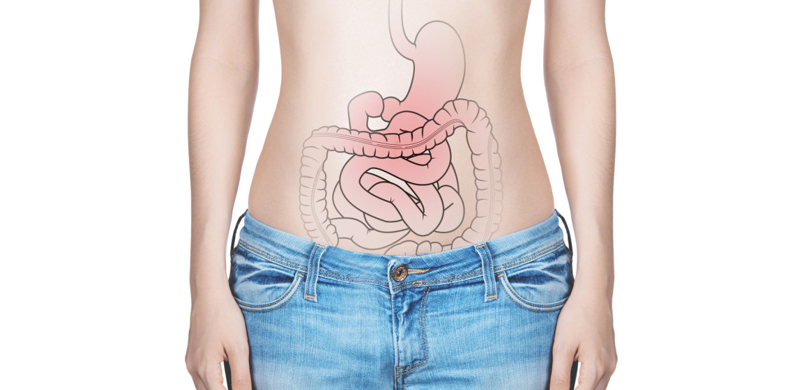 Körper mit Darstellung des Darms